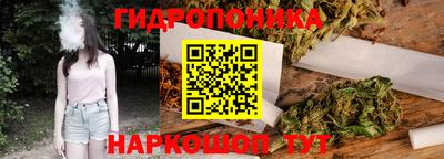 крисы Коммунар