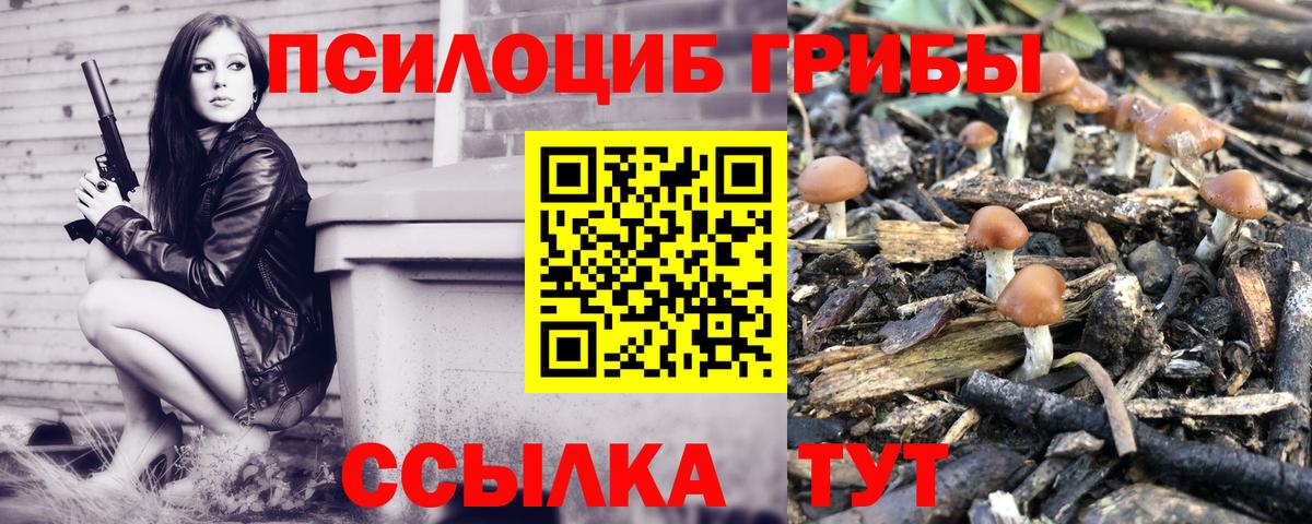 Псилоцибиновые грибы прущие грибы  цена наркотик  Заинск  Псилоцибиновые грибы прущие грибы  Вход с VPN 