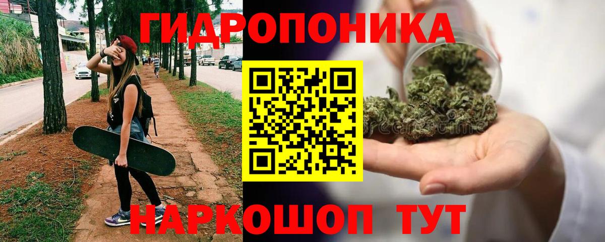 Бошки марихуана конопля Заинск